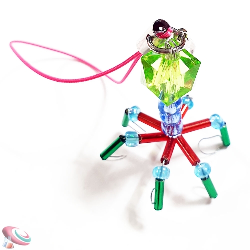 과학1번지 구정과학사,생물교구 박테리오 파지 만들기 10인용