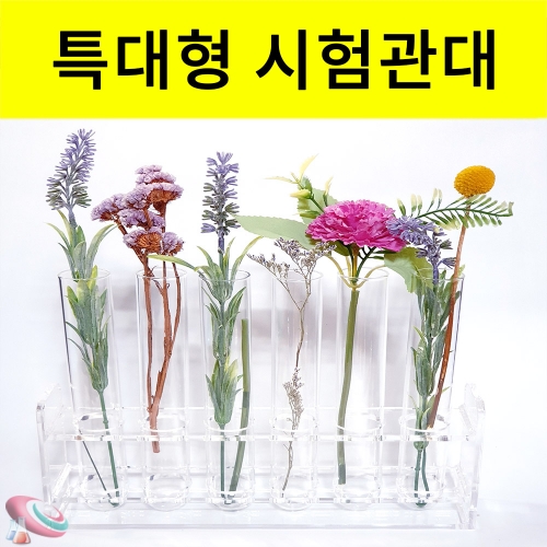 과학1번지 구정과학사,유리시험관세트 아크릴시험관대 투명시험관대 플랜테리어 특대형